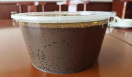 开封大茶缸爆料视频最新,揭秘视频背后的惊人真相